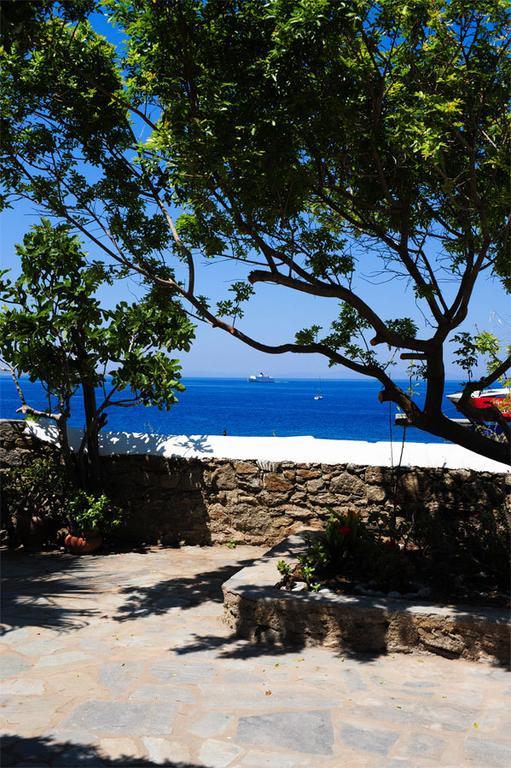 Maison d'hôtes Asimina